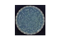 cc-mod-t.png cc-mod-t.png